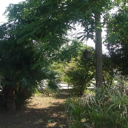 Guest house Casa Vacanza La Pajara *