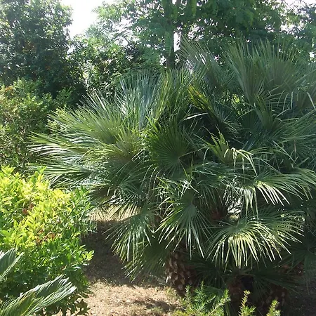 Guest house Casa Vacanza La Pajara