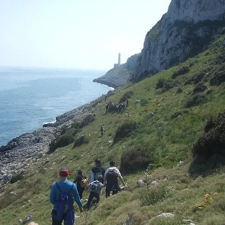 Guest house Casa Vacanza La Pajara Andrano