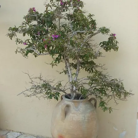 Casa Vacanza La Pajara Αντράνο