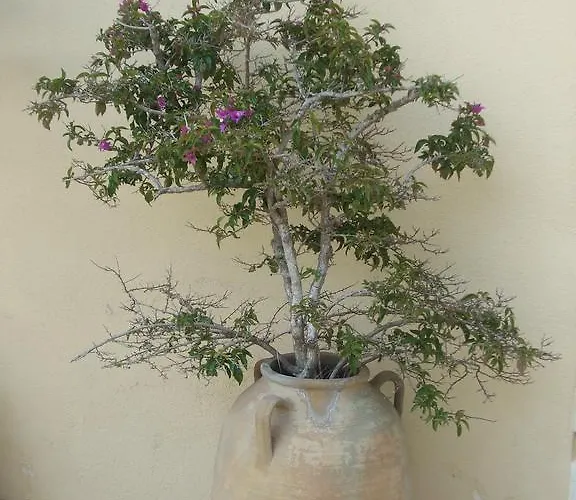 Casa Vacanza La Pajara Andrano